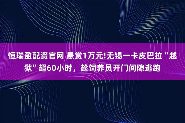 恒瑞盈配资官网 悬赏1万元!无锡一卡皮巴拉“越狱”超60小时，趁饲养员开门间隙逃跑