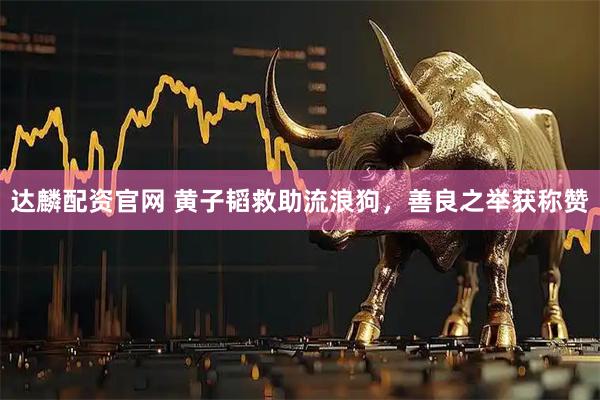 达麟配资官网 黄子韬救助流浪狗，善良之举获称赞