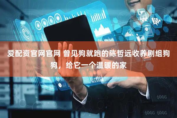 爱配资官网官网 曾见狗就跑的陈哲远收养剧组狗狗，给它一个温暖的家